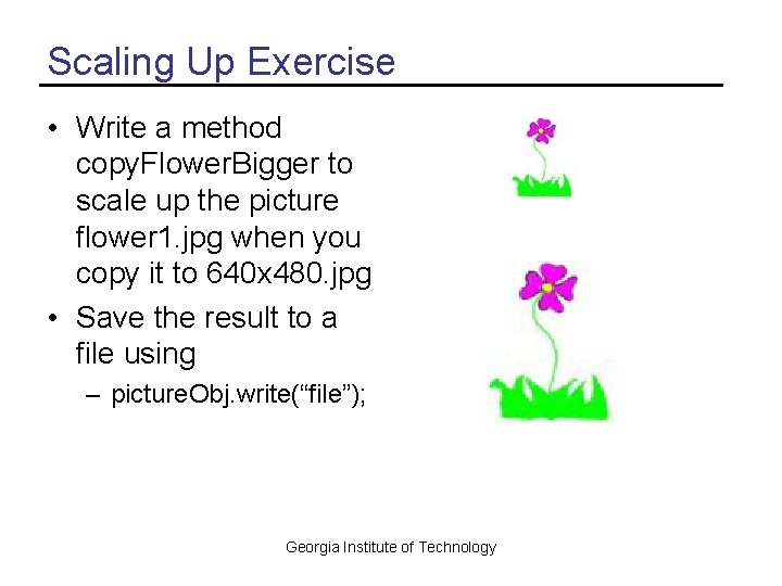 Scaling Up Exercise • Write a method copy. Flower. Bigger to scale up the