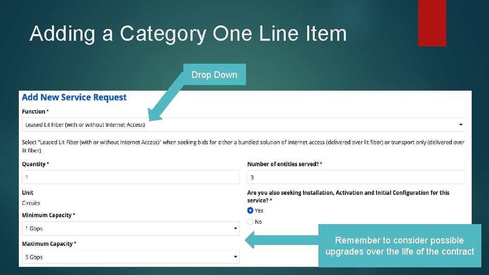 Adding a Category One Line Item Drop Down Remember to consider possible upgrades over