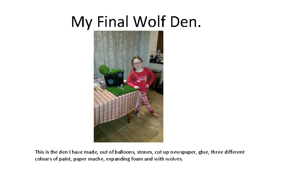 My Final Wolf Den. This is the den I have made, out of balloons,