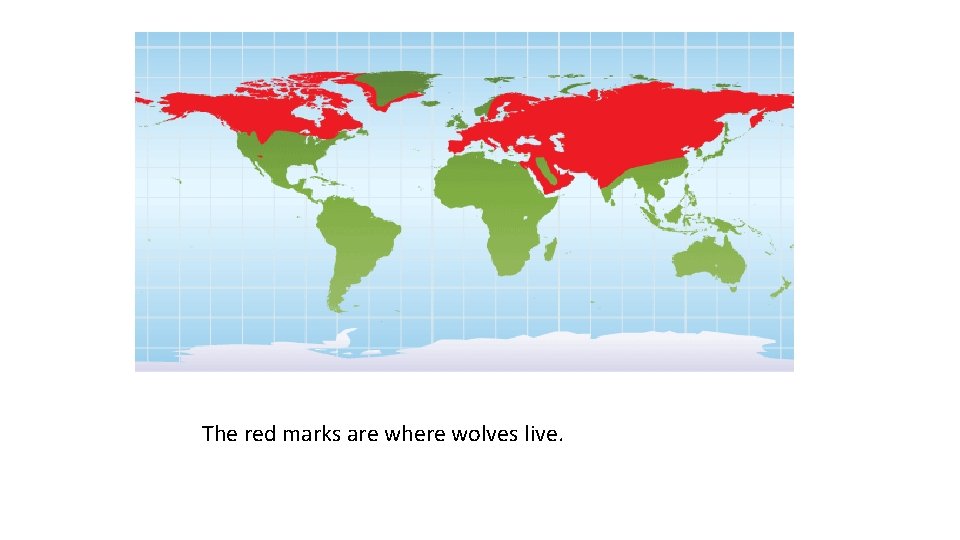 The red marks are where wolves live. 