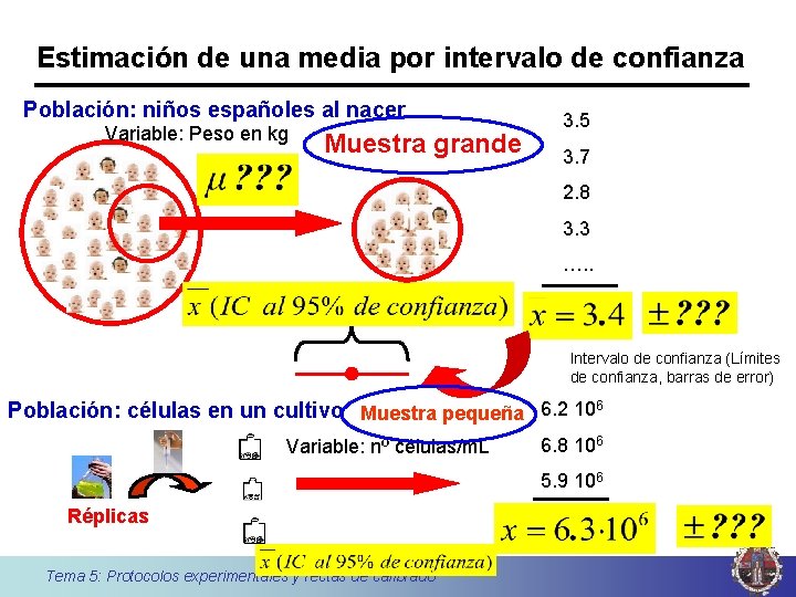 Estimación de una media por intervalo de confianza Población: niños españoles al nacer Variable: