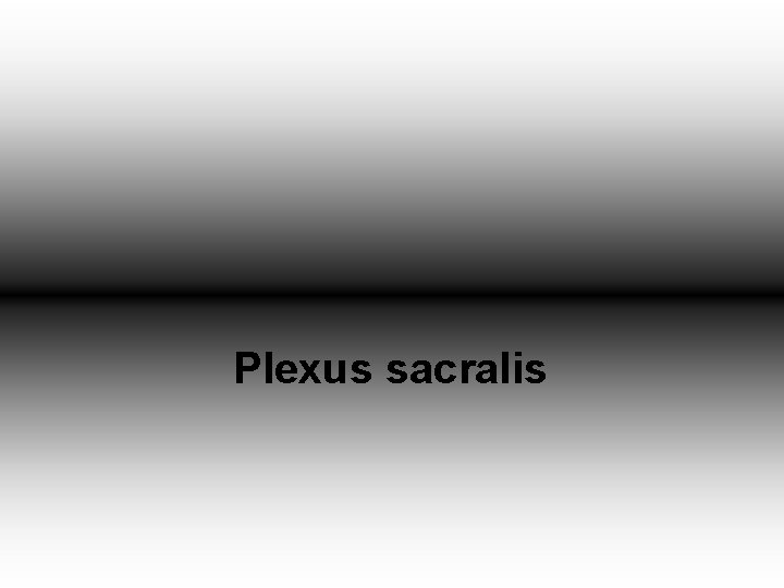 Plexus sacralis 