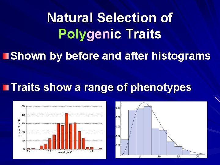 Natural Selection of Polygenic Traits Shown by before and after histograms Traits show a