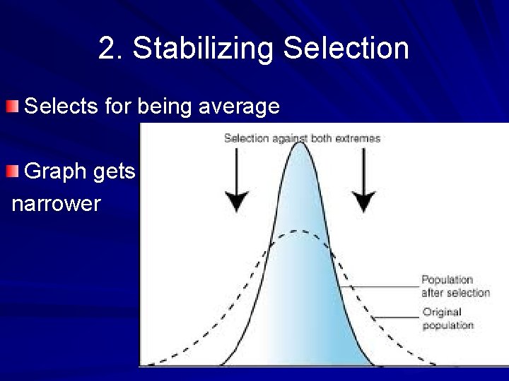 2. Stabilizing Selection Selects for being average Graph gets narrower 