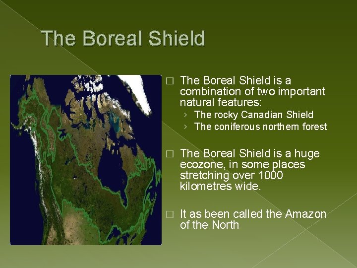 The Boreal Shield � The Boreal Shield is a combination of two important natural