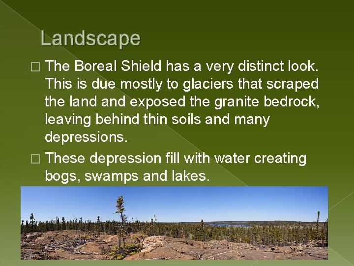 Landscape � The Boreal Shield has a very distinct look. This is due mostly