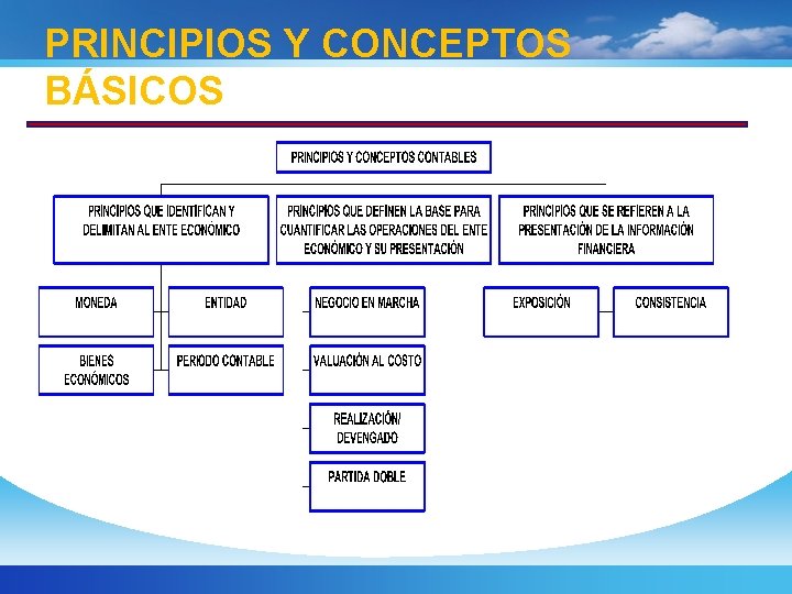 PRINCIPIOS Y CONCEPTOS BÁSICOS 