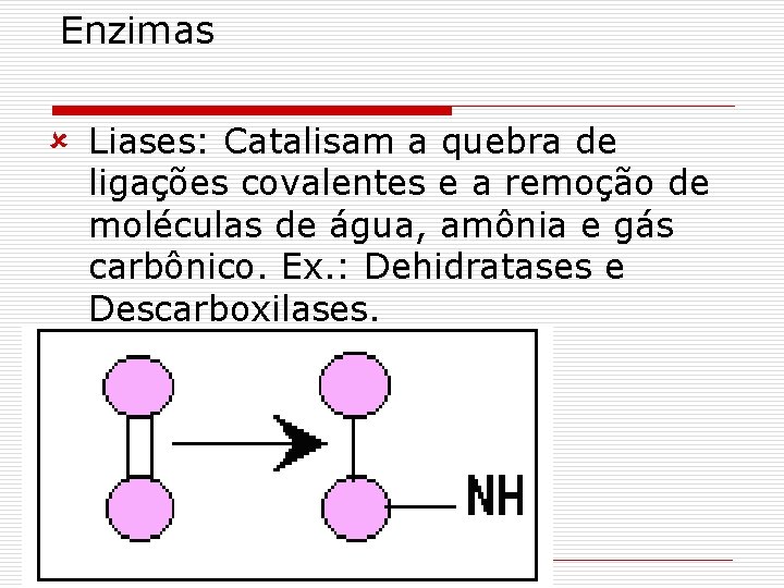Enzimas û Liases: Catalisam a quebra de ligações covalentes e a remoção de moléculas