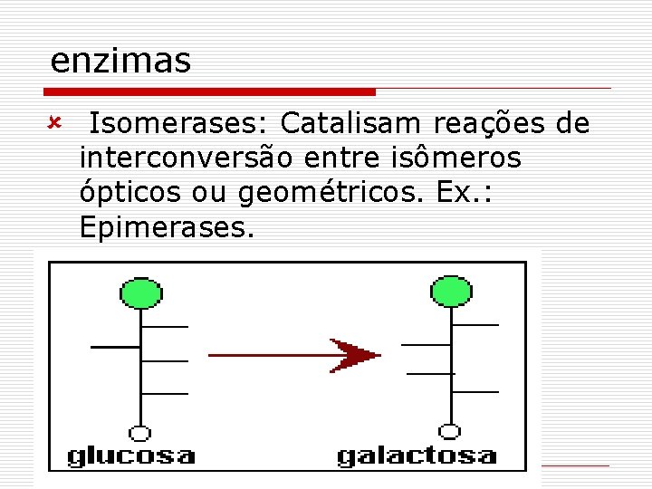 enzimas û Isomerases: Catalisam reações de interconversão entre isômeros ópticos ou geométricos. Ex. :
