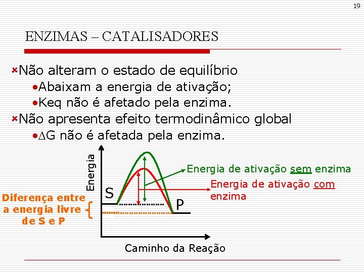 19 ENZIMAS – CATALISADORES Energia ûNão alteram o estado de equilíbrio • Abaixam a
