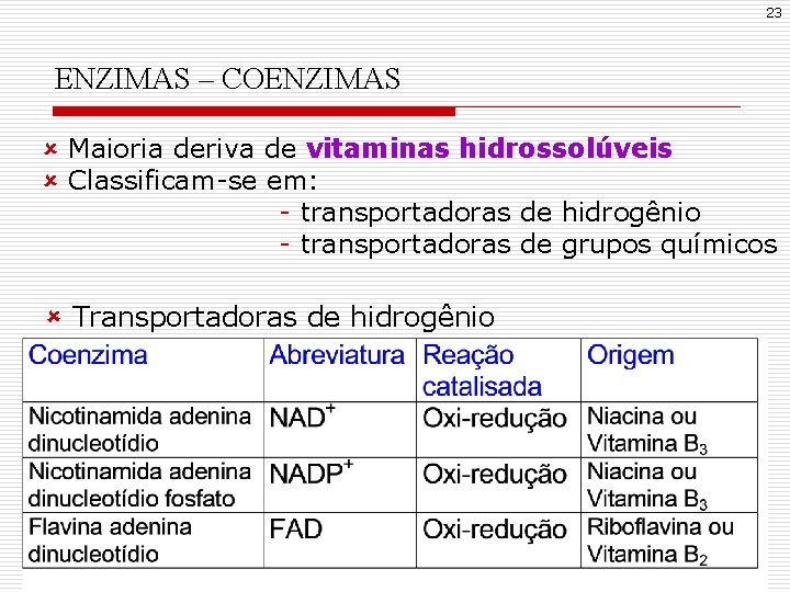 23 ENZIMAS – COENZIMAS û Maioria deriva de vitaminas hidrossolúveis û Classificam-se em: -