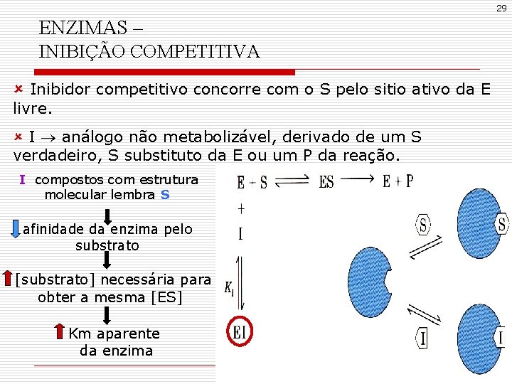 29 ENZIMAS – INIBIÇÃO COMPETITIVA û Inibidor competitivo concorre com o S pelo sitio