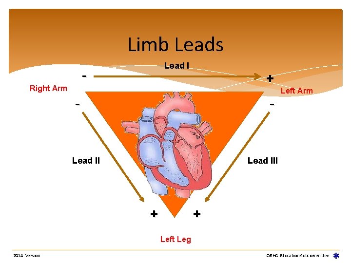 Limb Leads Lead I - Right Arm + - - Lead II Left Arm Limb Leads Lead I - Right Arm + - - Lead II Left Arm