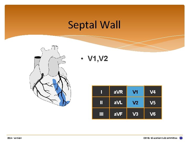 Septal Wall • V 1, V 2 2014 Version I a. VR V 1 Septal Wall • V 1, V 2 2014 Version I a. VR V 1