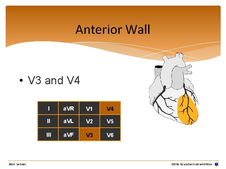 Anterior Wall • V 3 and V 4 2014 Version I a. VR V Anterior Wall • V 3 and V 4 2014 Version I a. VR V