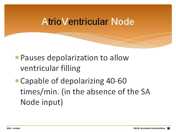 Atrio. Ventricular Node Pauses depolarization to allow ventricular filling Capable of depolarizing 40 -60 Atrio. Ventricular Node Pauses depolarization to allow ventricular filling Capable of depolarizing 40 -60