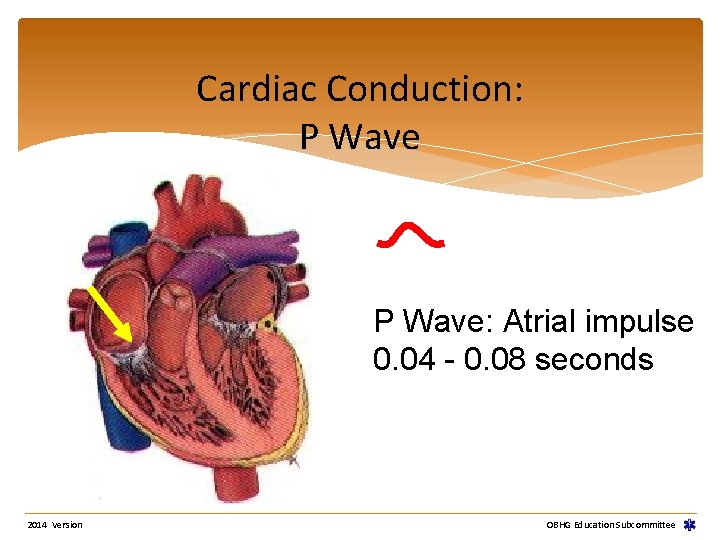 Cardiac Conduction: P Wave: Atrial impulse 0. 04 - 0. 08 seconds 2014 Version Cardiac Conduction: P Wave: Atrial impulse 0. 04 - 0. 08 seconds 2014 Version