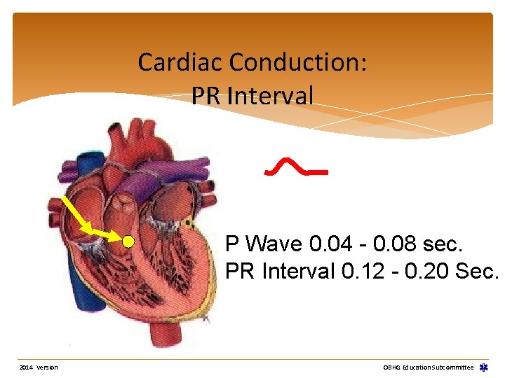 Cardiac Conduction: PR Interval P Wave 0. 04 - 0. 08 sec. PR Interval Cardiac Conduction: PR Interval P Wave 0. 04 - 0. 08 sec. PR Interval