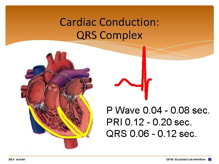 Cardiac Conduction: QRS Complex P Wave 0. 04 - 0. 08 sec. PRI 0. Cardiac Conduction: QRS Complex P Wave 0. 04 - 0. 08 sec. PRI 0.