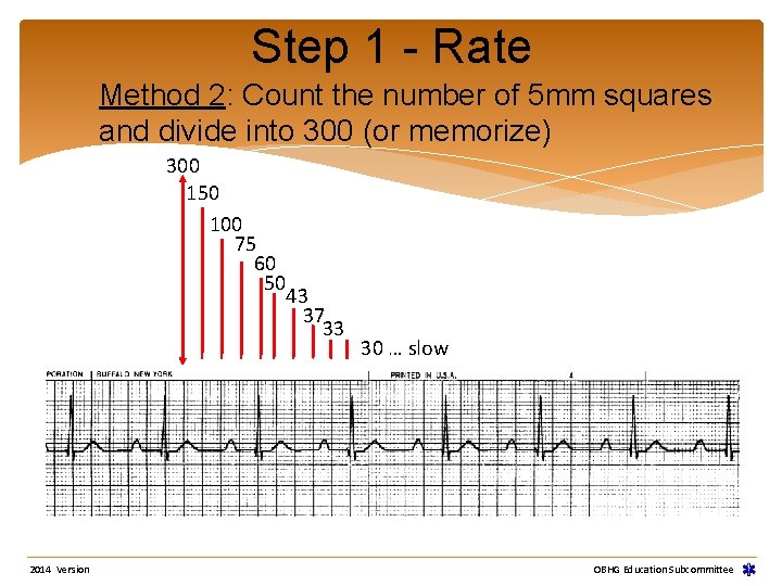 Step 1 - Rate Method 2: Count the number of 5 mm squares and Step 1 - Rate Method 2: Count the number of 5 mm squares and