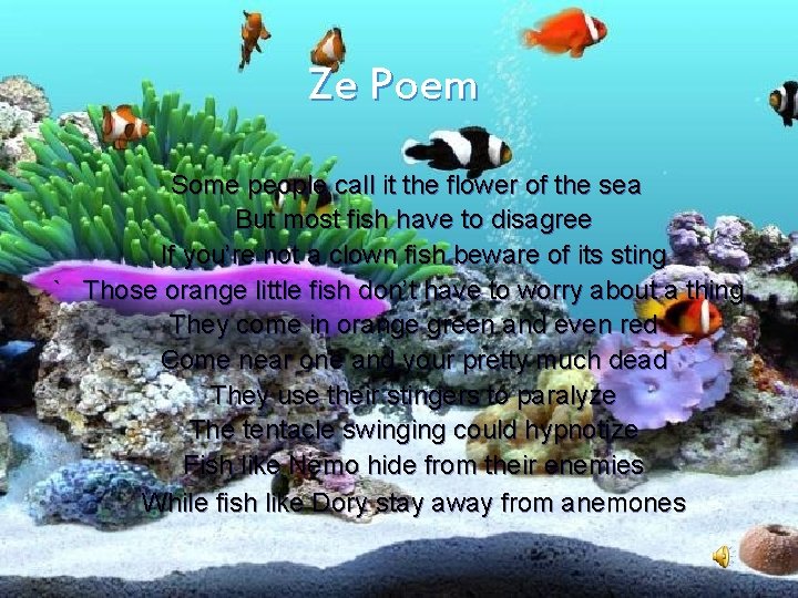 Ze Poem Some people call it the flower of the sea But most fish