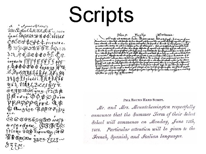 Scripts 