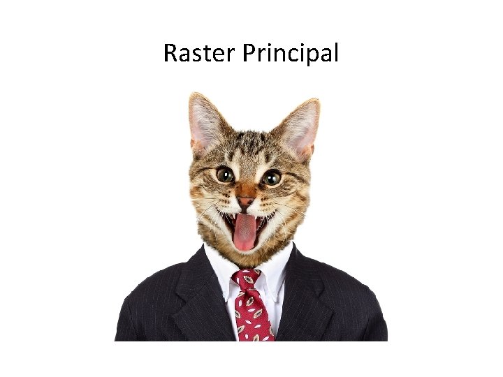 Raster Principal 