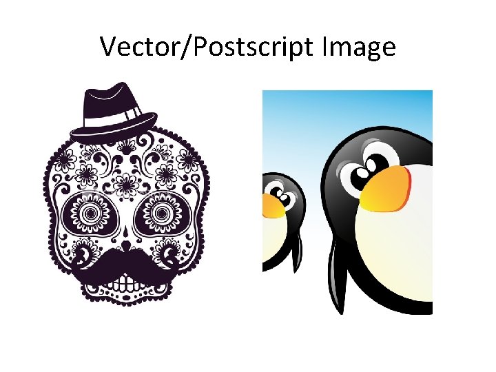 Vector/Postscript Image 