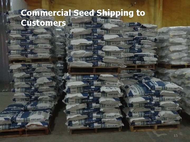 Commercial Seed Shipping to Customers 15 