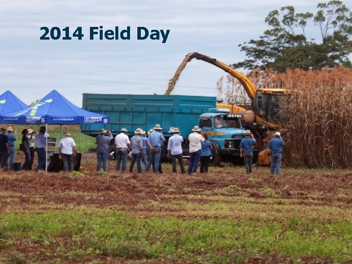 2014 Field Day 