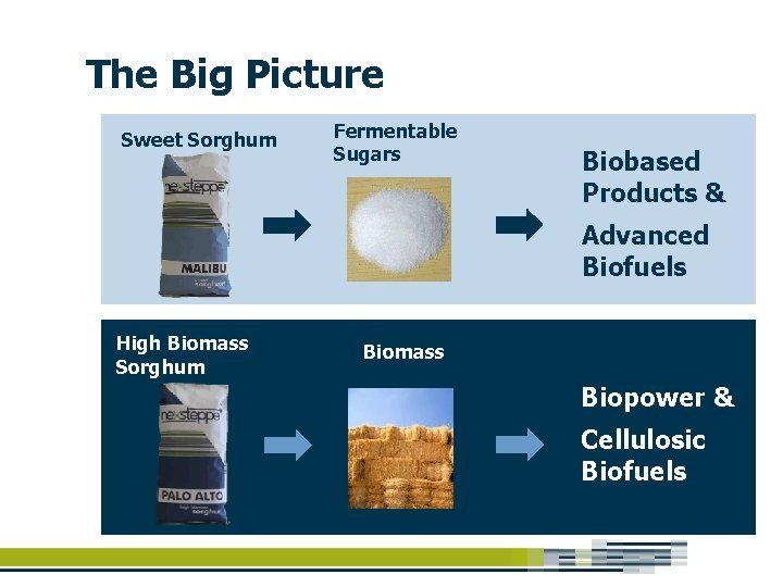 The Big Picture Sweet Sorghum Fermentable Sugars Biobased Products & Advanced Biofuels High Biomass