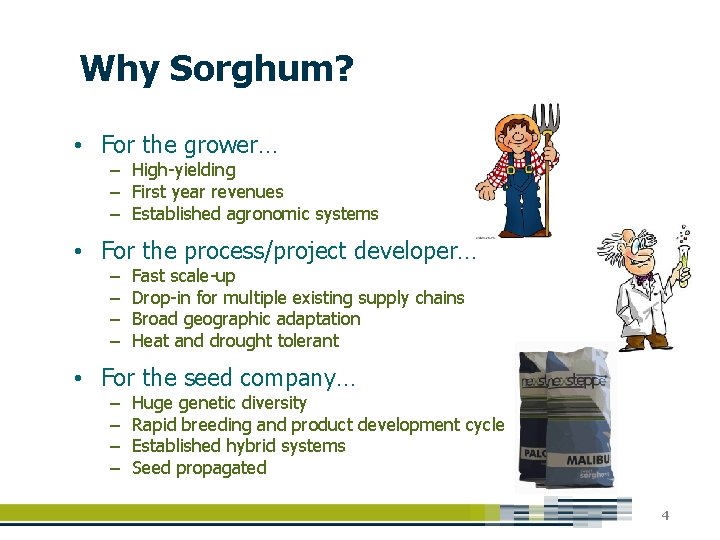 Why Sorghum? • For the grower… – High-yielding – First year revenues – Established