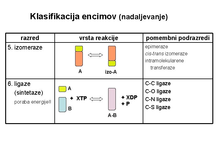 Klasifikacija encimov (nadaljevanje) razred vrsta reakcije pomembni podrazredi epimeraze cis-trans izomeraze intramolekularene transferaze 5.