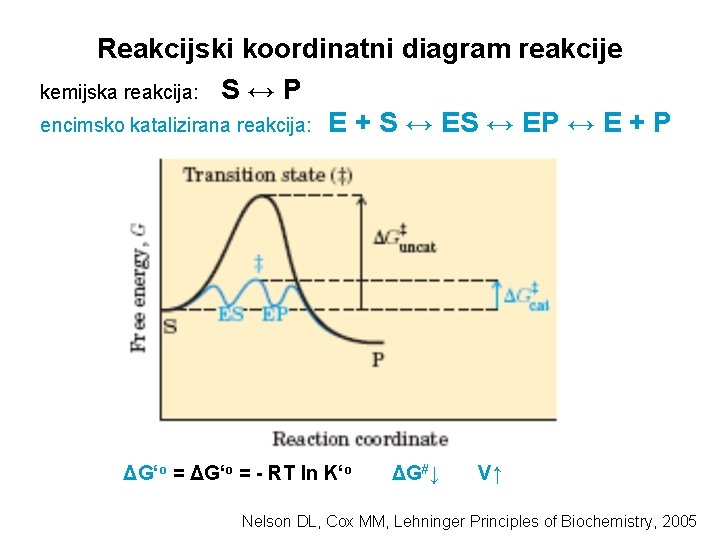 Reakcijski koordinatni diagram reakcije kemijska reakcija: S ↔ P encimsko katalizirana reakcija: E +