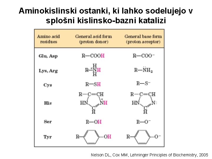 Aminokislinski ostanki, ki lahko sodelujejo v splošni kislinsko-bazni katalizi Nelson DL, Cox MM, Lehninger