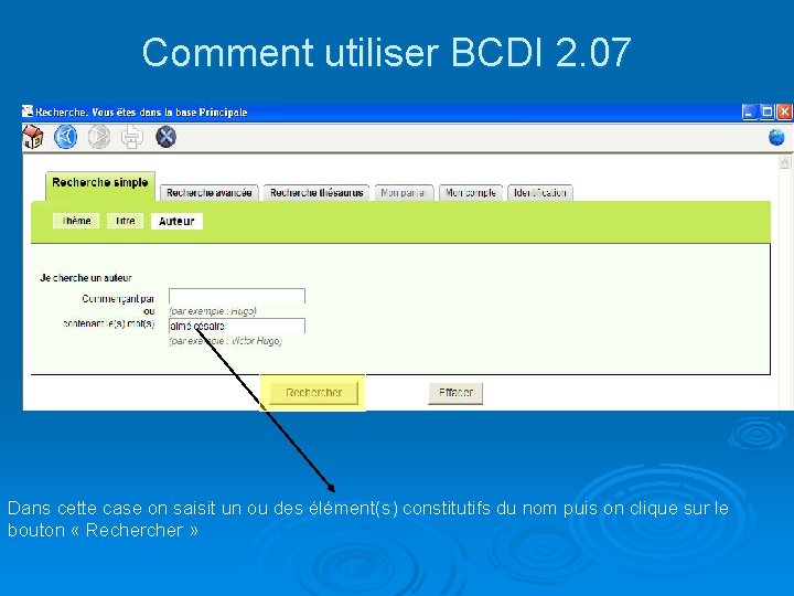 Comment utiliser BCDI 2. 07 Dans cette case on saisit un ou des élément(s)
