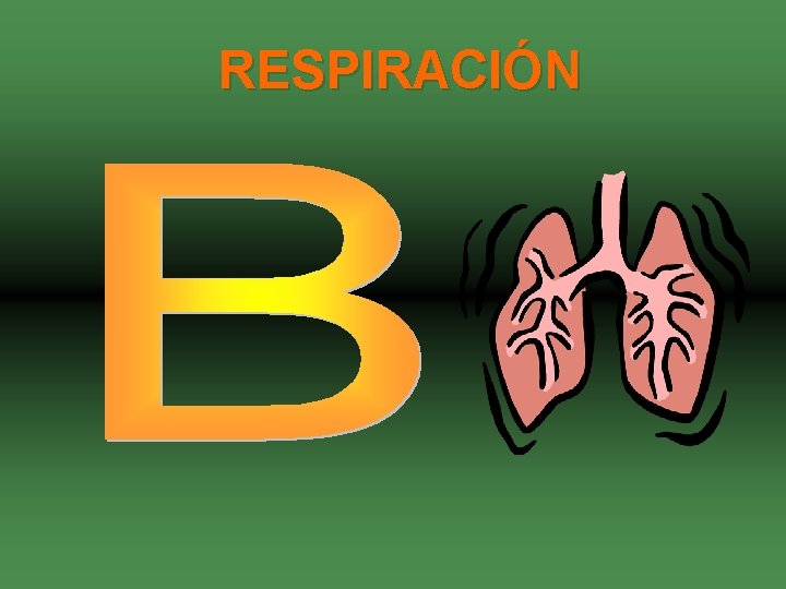 RESPIRACIÓN 