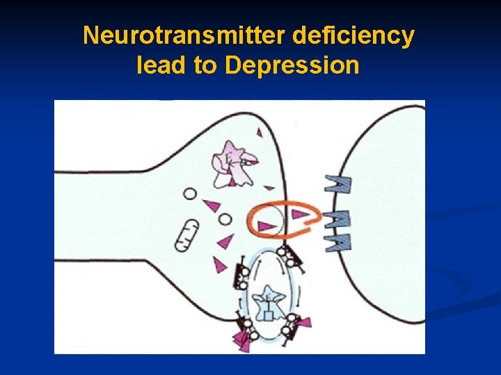 Neurotransmitter deficiency lead to Depression 