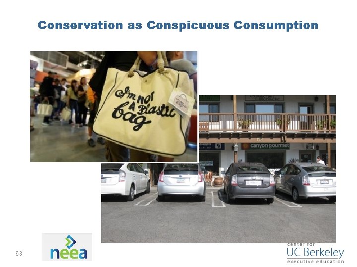Conservation as Conspicuous Consumption 63 