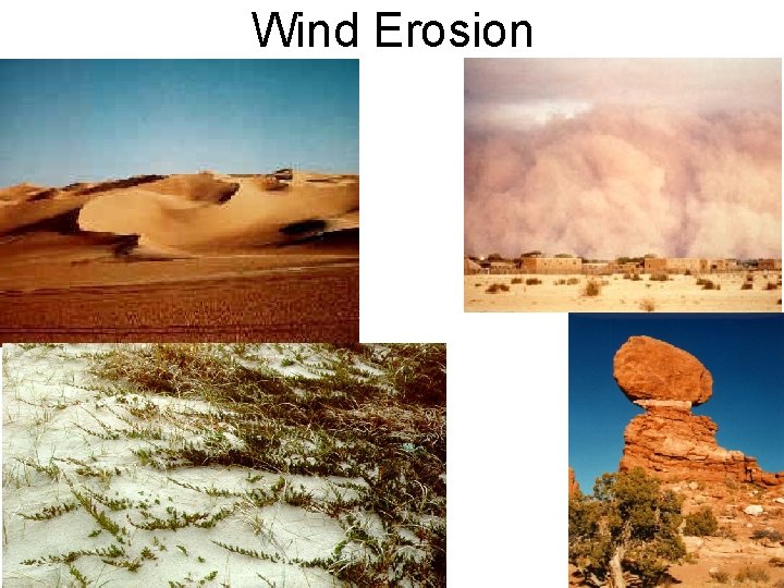 Wind Erosion 