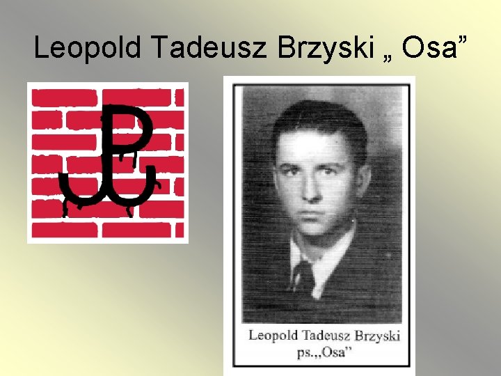 Leopold Tadeusz Brzyski „ Osa” 