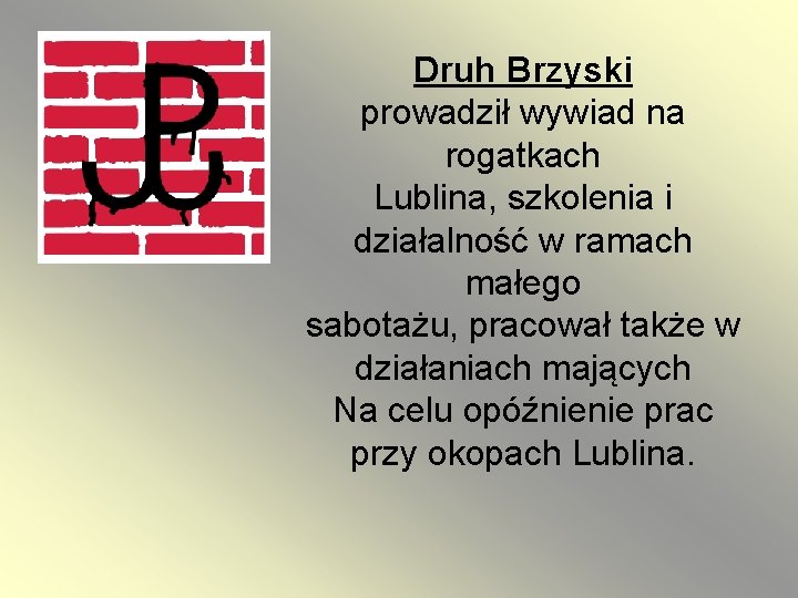 Druh Brzyski prowadził wywiad na rogatkach Lublina, szkolenia i działalność w ramach małego sabotażu,