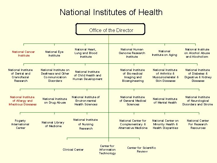 National Institutes of Health Office of the Director National Cancer Institute National Institute of