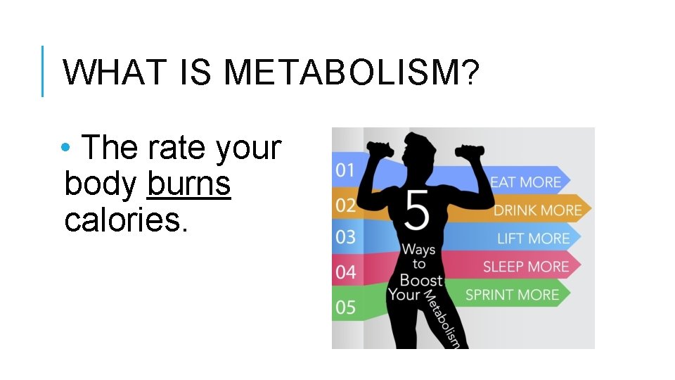 WHAT IS METABOLISM? • The rate your body burns calories. 