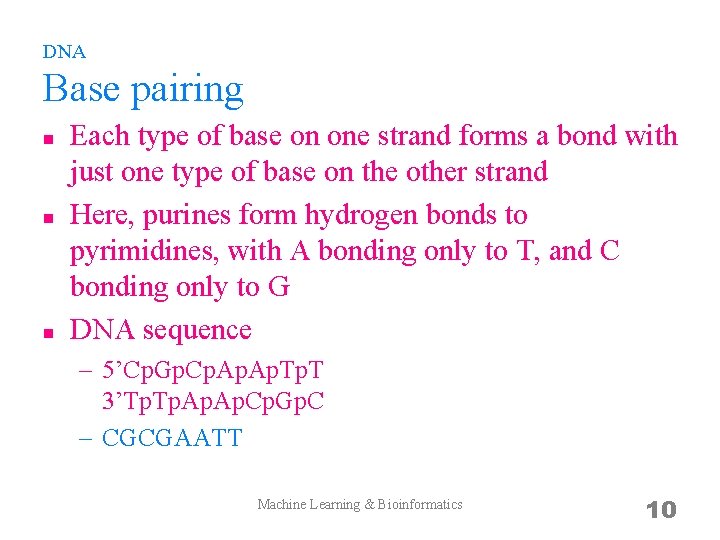 DNA Base pairing n n n Each type of base on one strand forms