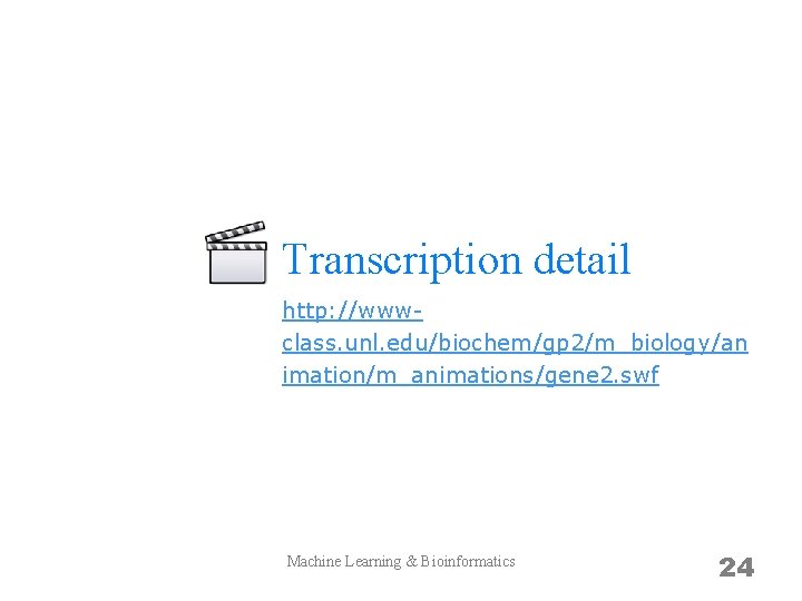 Transcription detail http: //wwwclass. unl. edu/biochem/gp 2/m_biology/an imation/m_animations/gene 2. swf Machine Learning & Bioinformatics