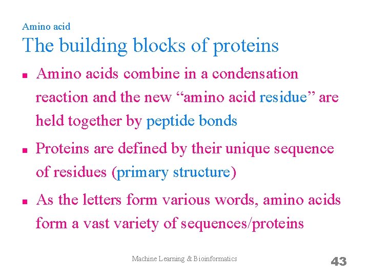 Amino acid The building blocks of proteins n n n Amino acids combine in