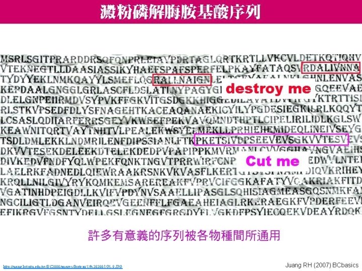 http: //juang. bst. ntu. edu. tw/BC 2008/images/Protein(1)%202007/P 1 -9. JPG 