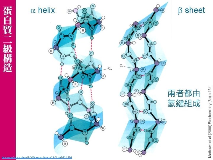 http: //juang. bst. ntu. edu. tw/BC 2008/images/Protein(2)%202007/P 2 -3. JPG 