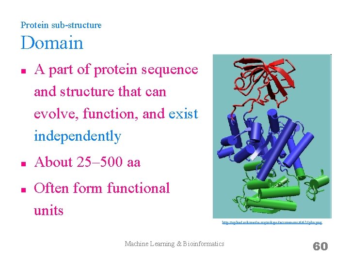 Protein sub-structure Domain n A part of protein sequence and structure that can evolve,